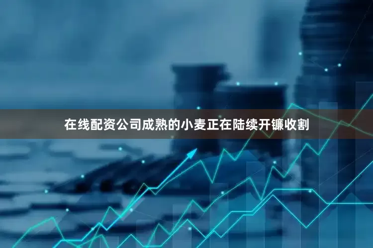 在线配资公司成熟的小麦正在陆续开镰收割